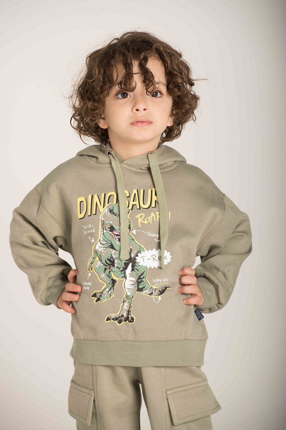 Dinosaur Print Hoodie W23BSW840