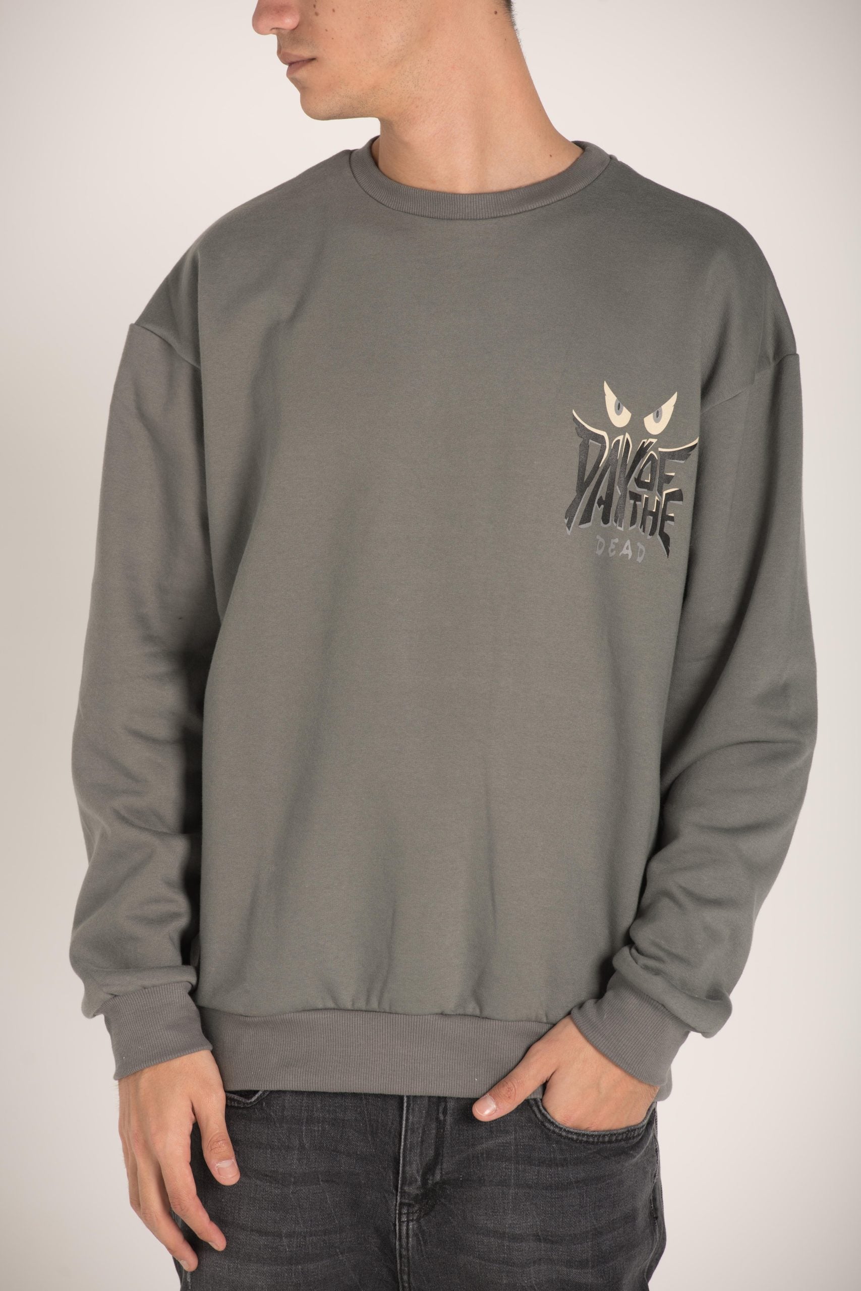 CREW NECK SWEATSHIRTWITH PRINT W23M064