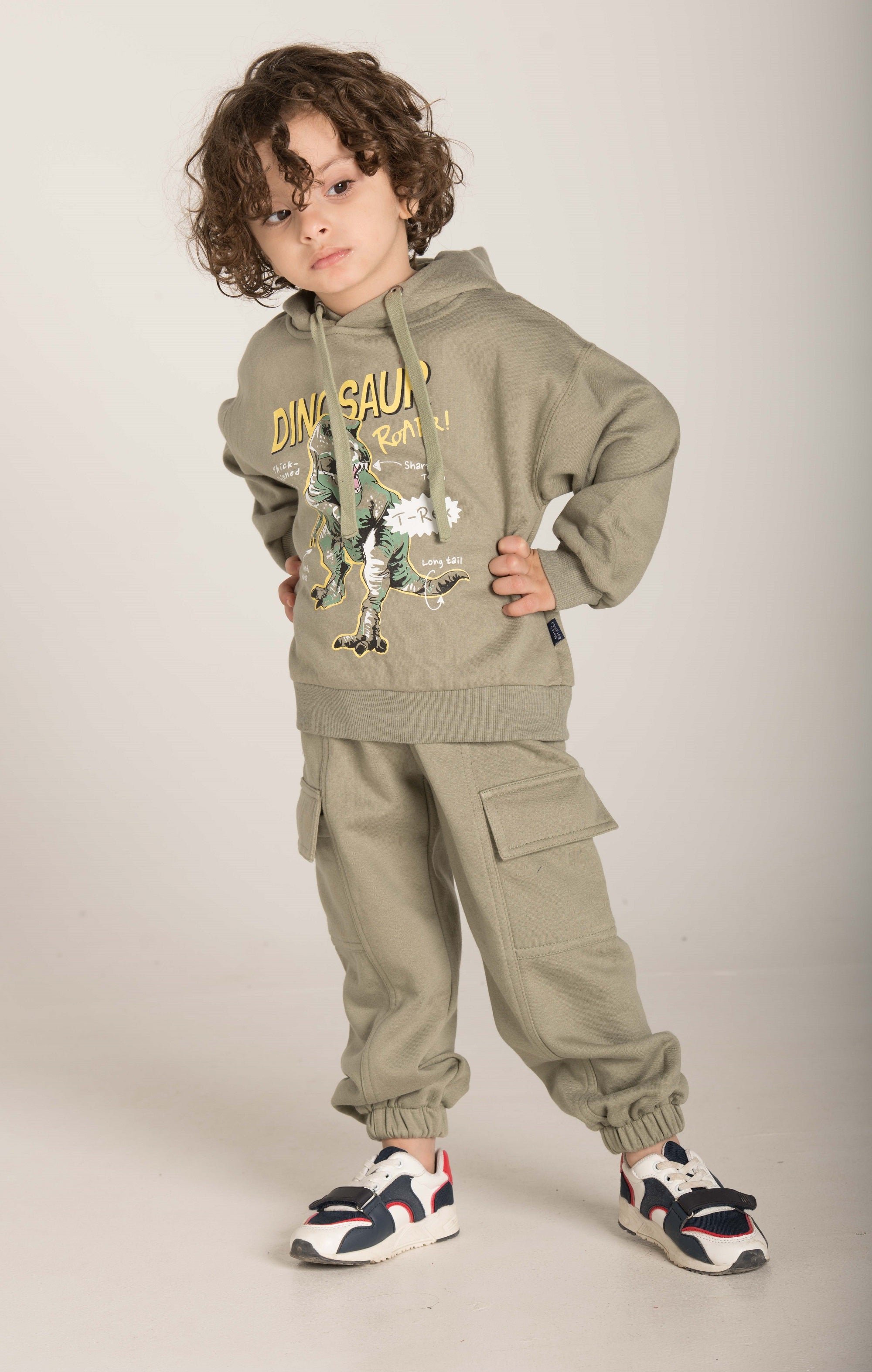 Dinosaur Print Hoodie W23BSW840