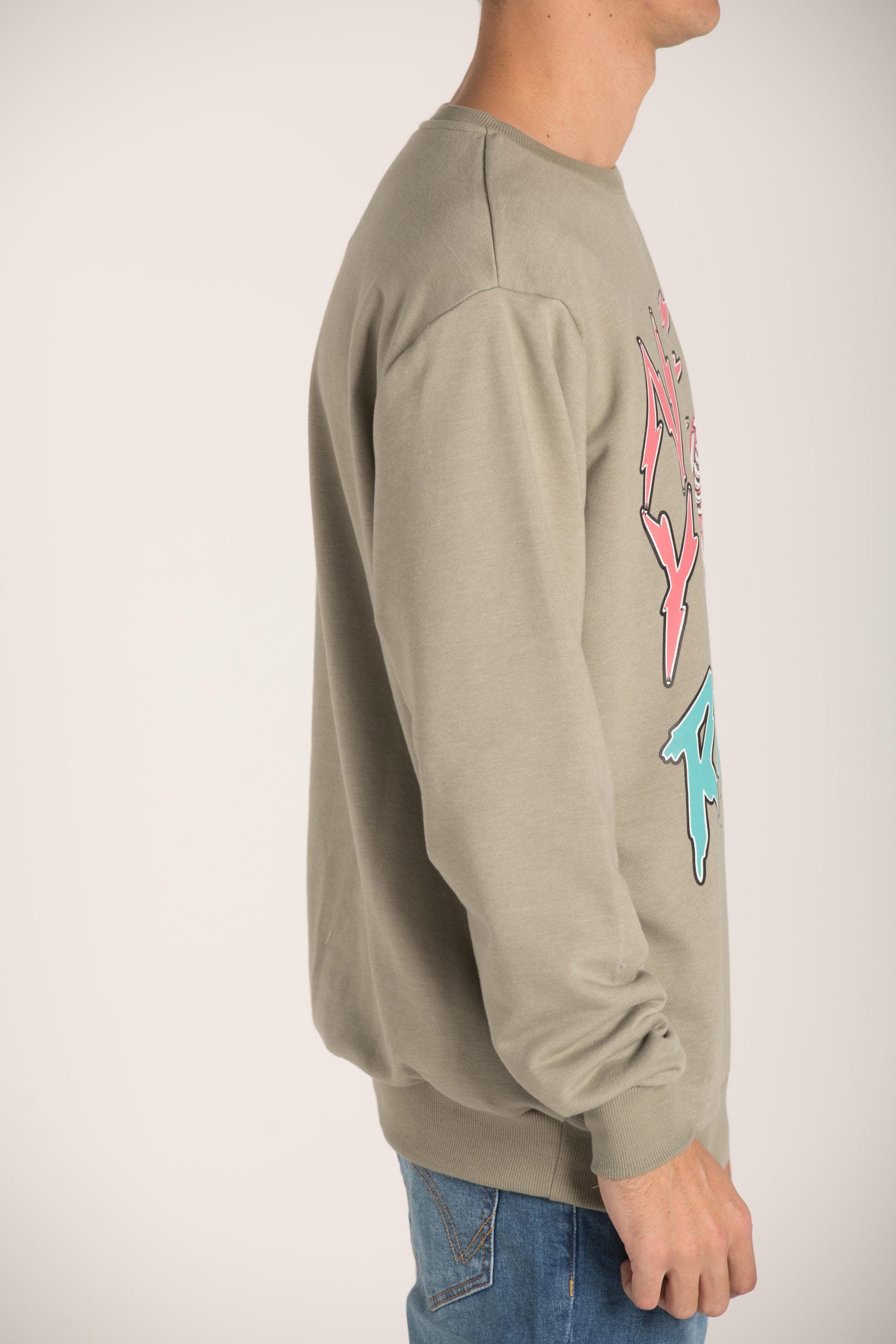 CREW R NECK PRINTED SWEATSHIRT W23M091