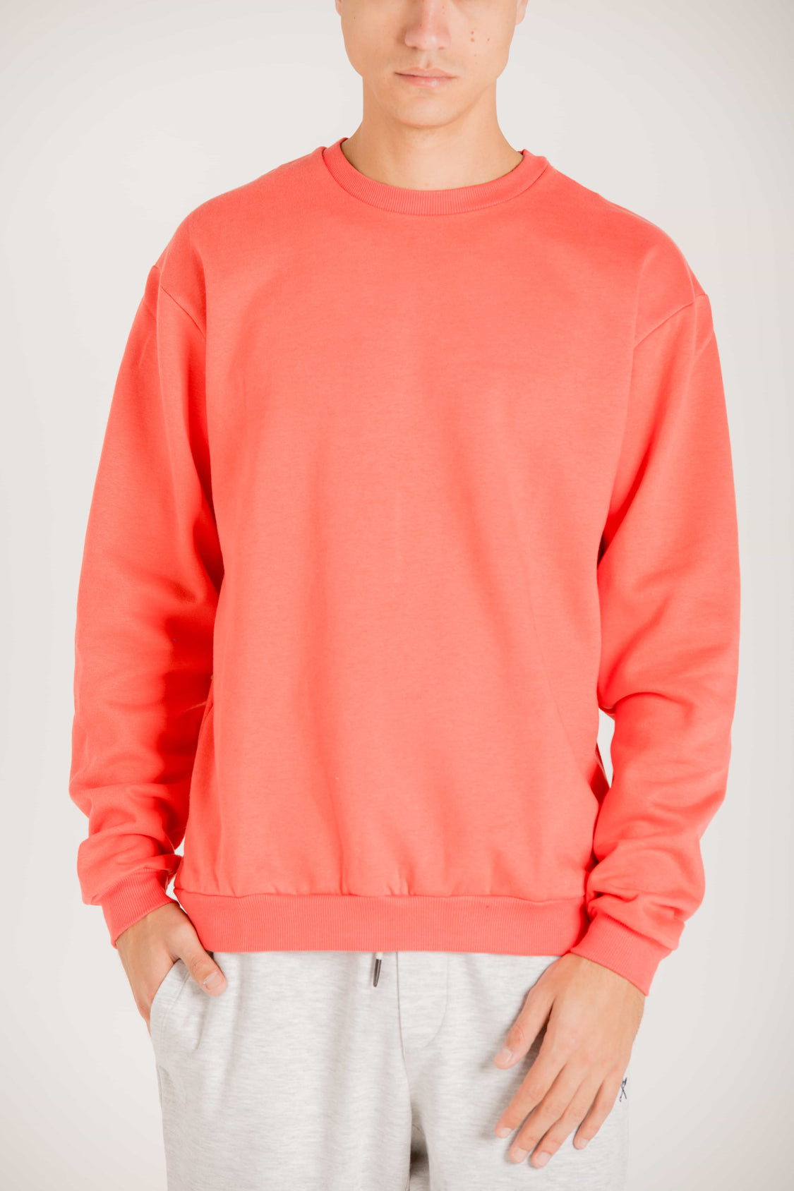 BASIC SWEATSHIRT WITH PATCH W23M003