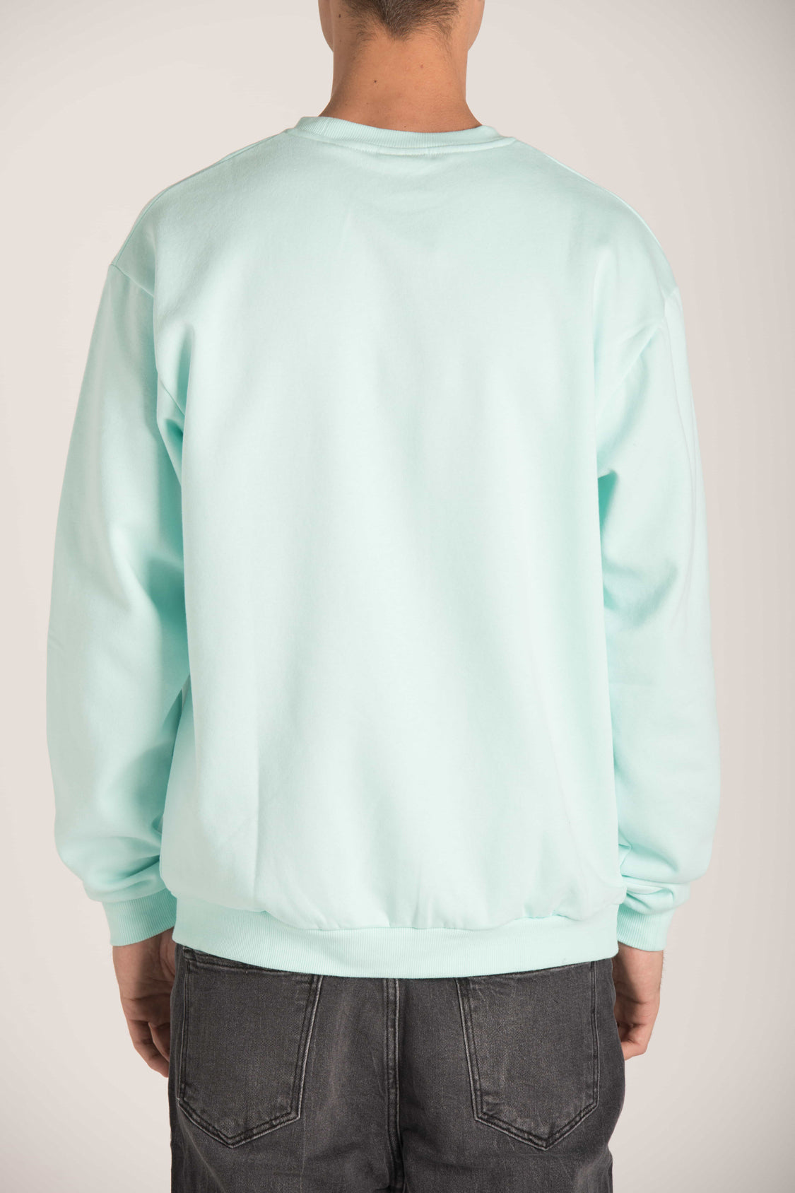 BASIC SWEATSHIRT WITH PATCH W23M003